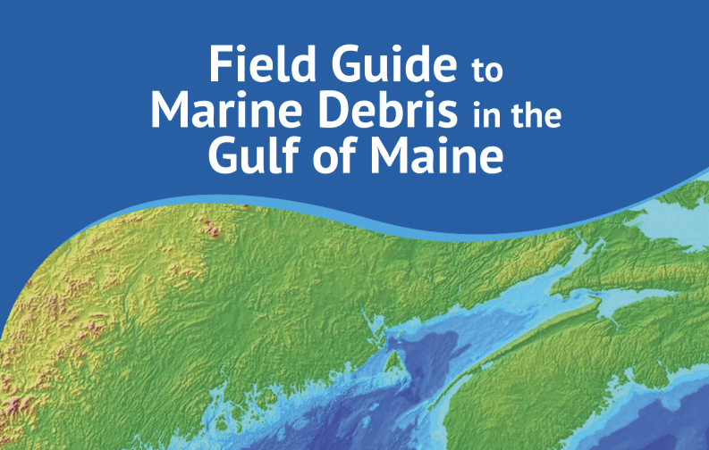 US and Canadian partners produce first-ever Field Guide to Marine Debris in the Gulf of Maine